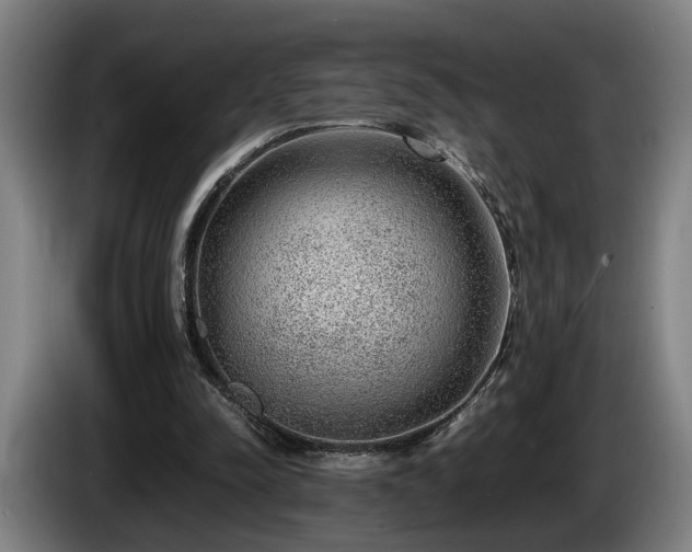 X0000086080342200703301133