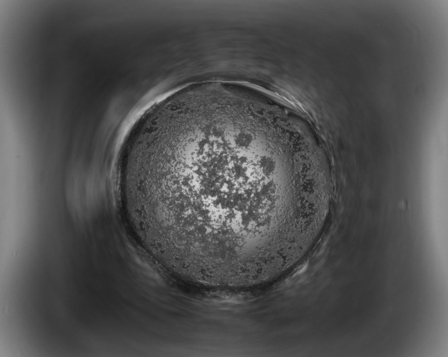 X0000086080343200703301133