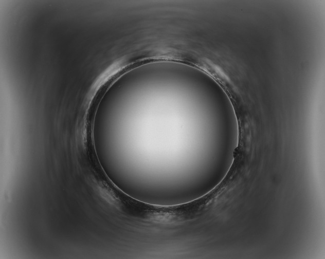 X0000086080344200703301133