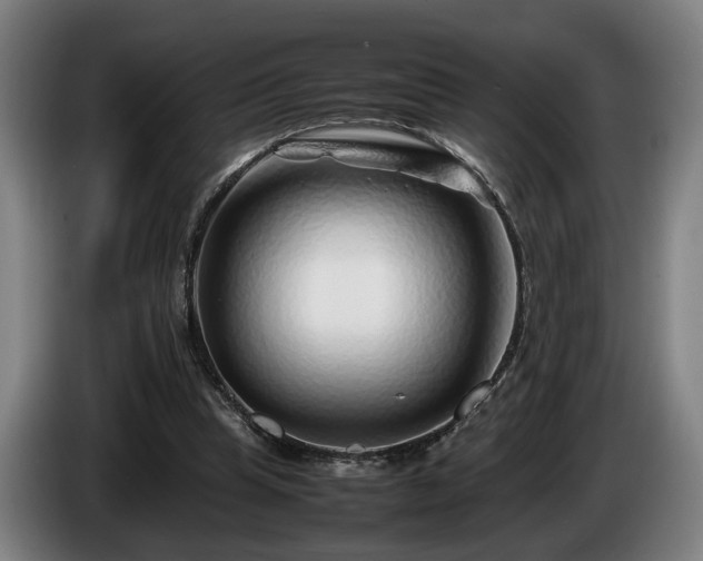 X0000086080345200703301133