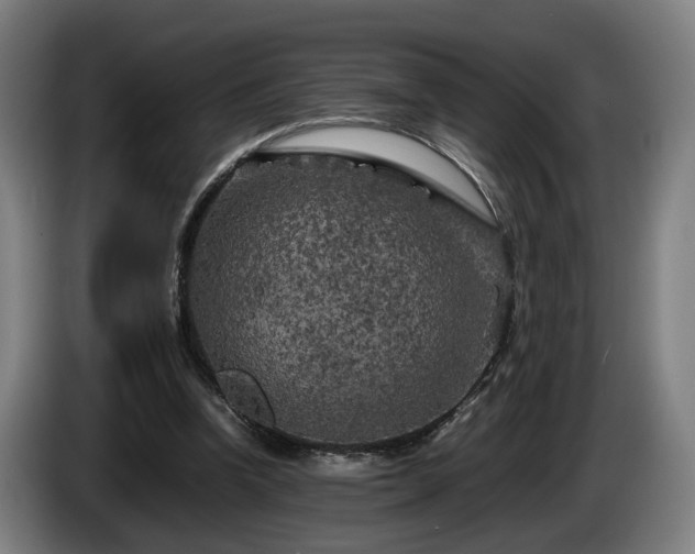 X0000086080346200703301133