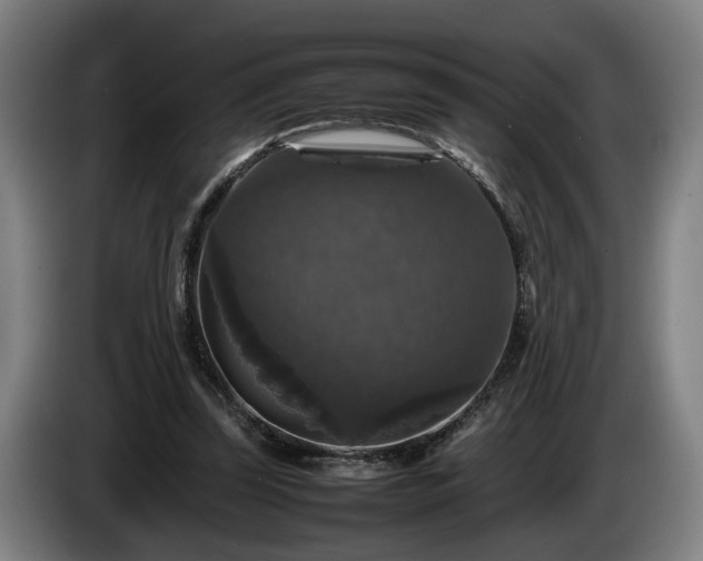 X0000086080347200703301133