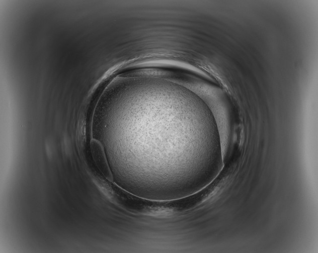 X0000086080348200703301133