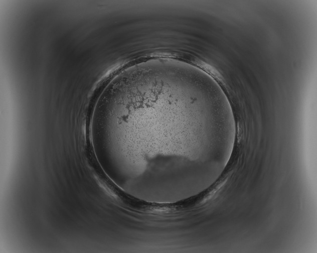 X0000086080349200703301134