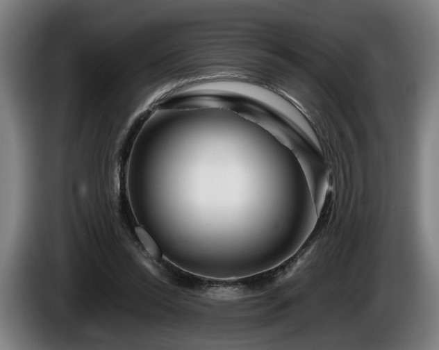 X0000086080350200703301134