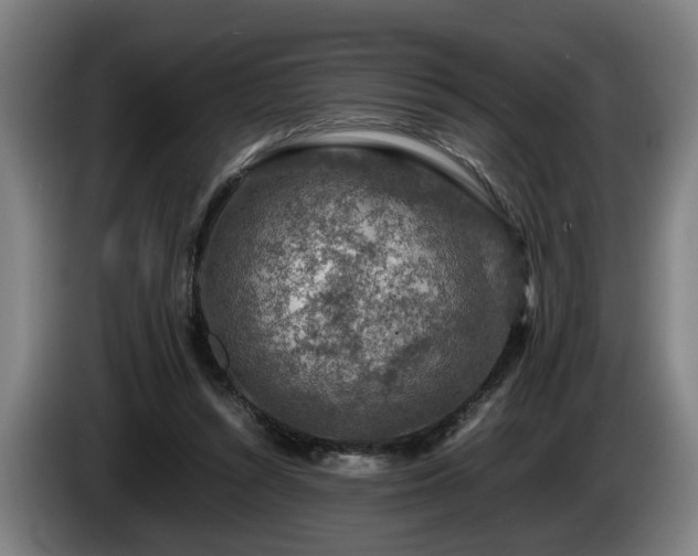 X0000086080352200703301134