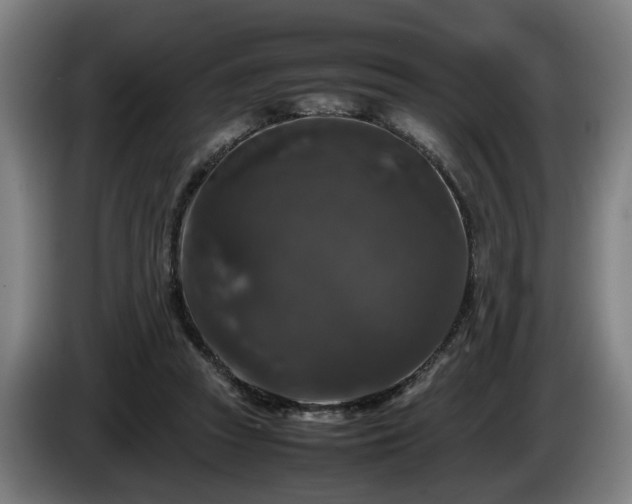 X0000086080353200703301134