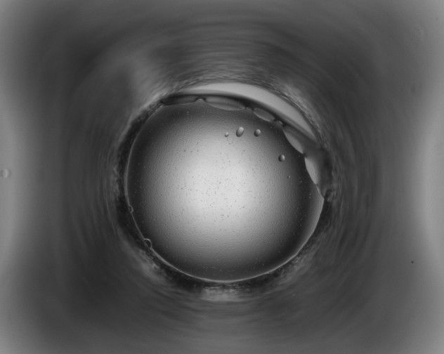 X0000086080354200703301134