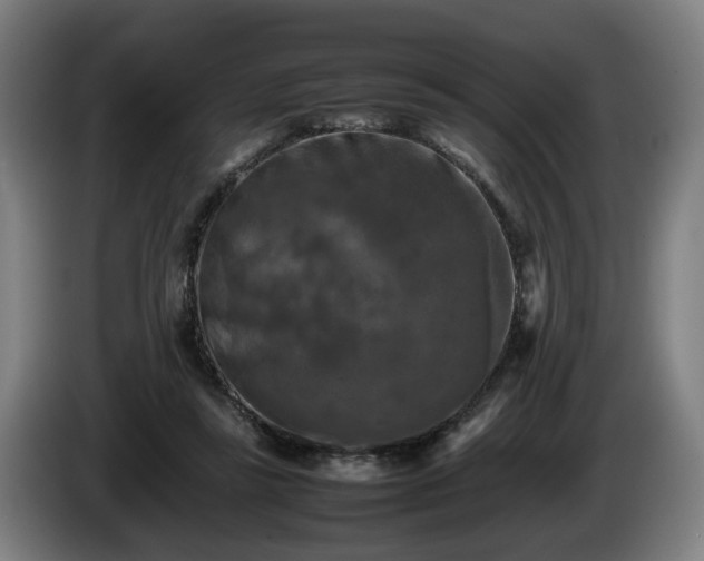 X0000086080355200703301134