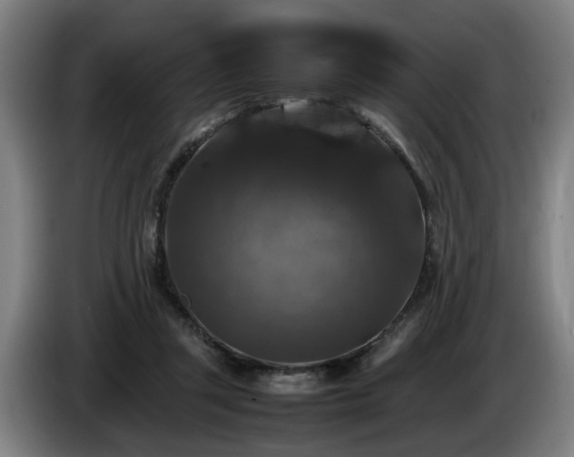 X0000086080357200703301134