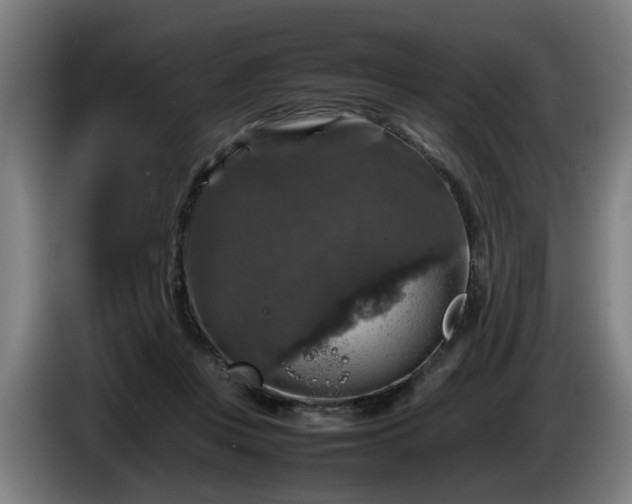 X0000086080359200703301134