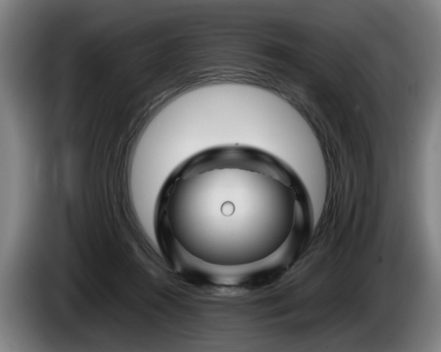 X0000086080360200703301134