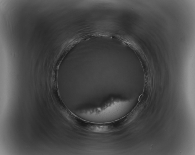 X0000086080361200703301134