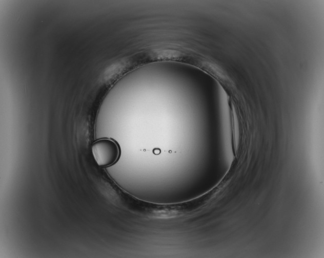 X0000086080362200703301134