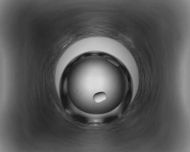 X0000086080364200703301134