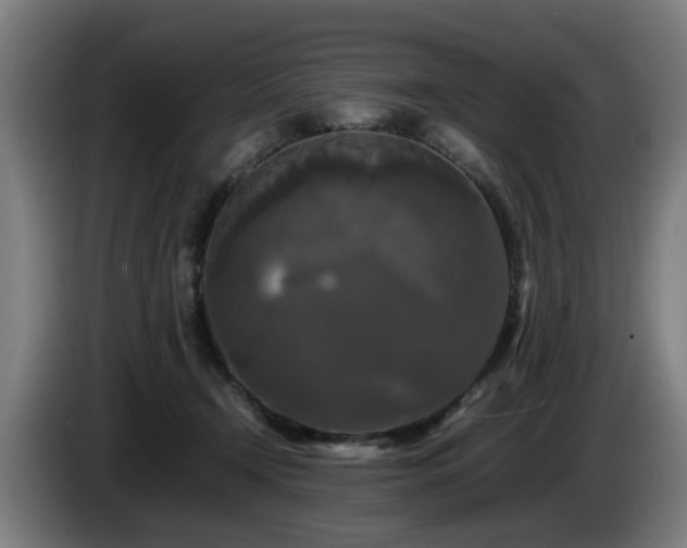 X0000086080366200703301134