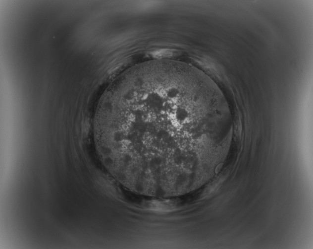 X0000086080367200703301134