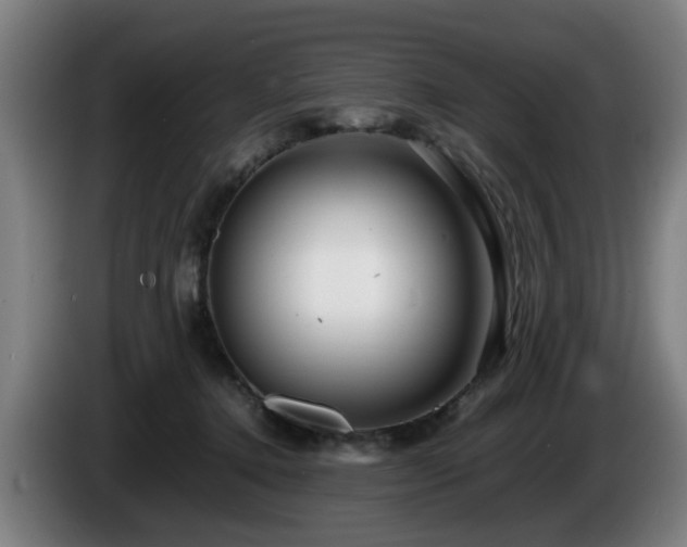 X0000086080368200703301134