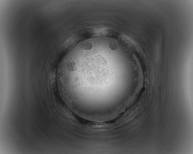 X0000086080369200703301134