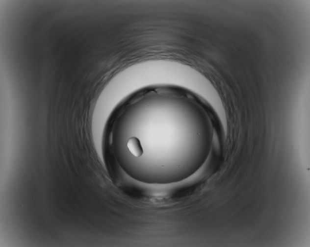 X0000086080372200703301134