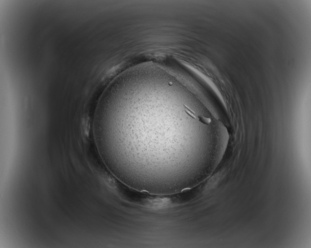 X0000086080374200703301134