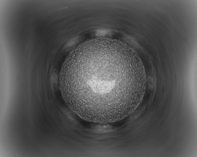 X0000086080375200703301134