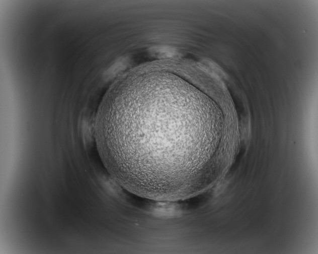 X0000086080376200703301134