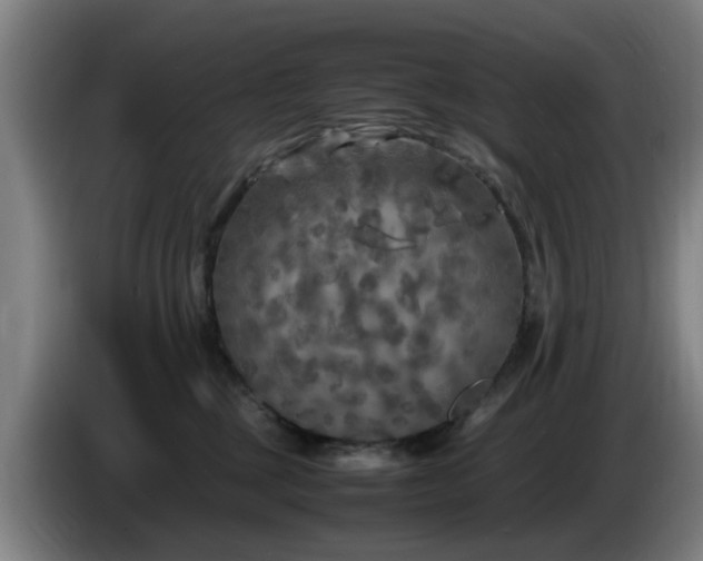 X0000086080377200703301134