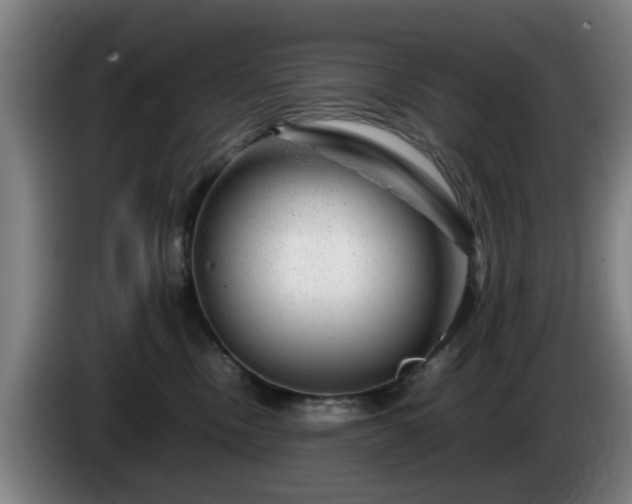 X0000086080378200703301134