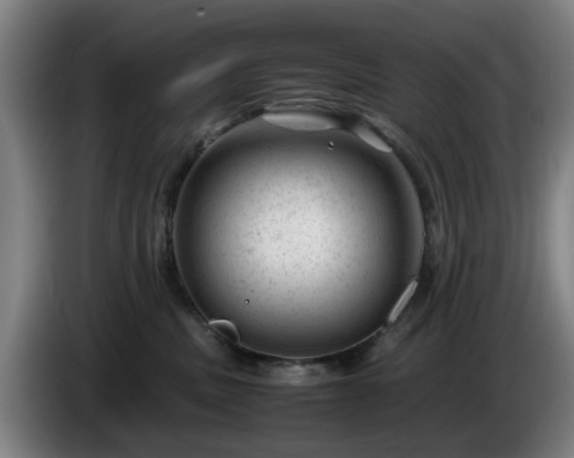 X0000086080379200703301134