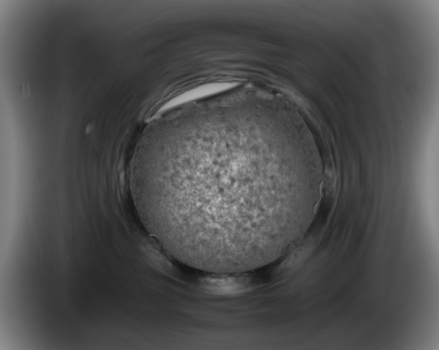 X0000086080381200703301134