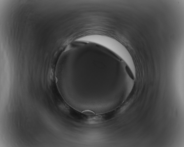 X0000086080382200703301134