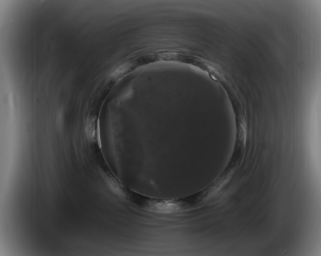 X0000086080383200703301134