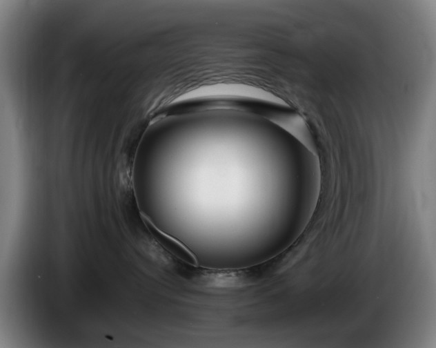 X0000086080384200703301134