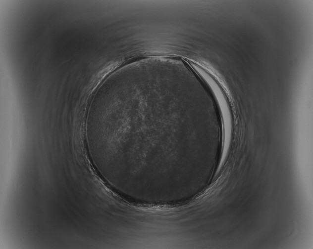 X0000086080385200703301133