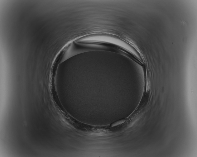 X0000086080387200703301133