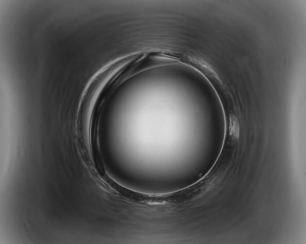 X0000086080388200703301133