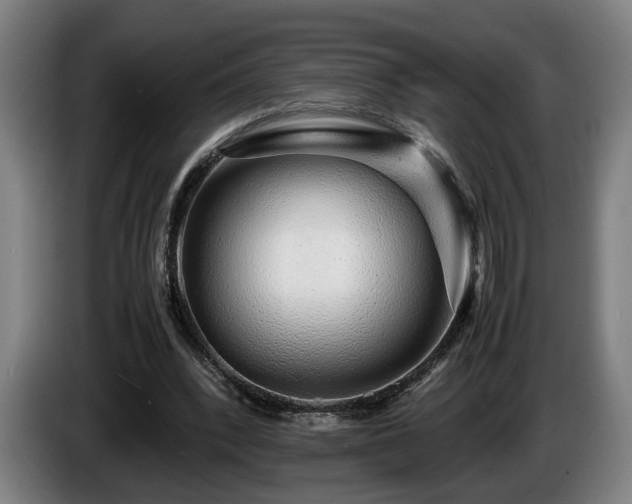 X0000086080392200703301133