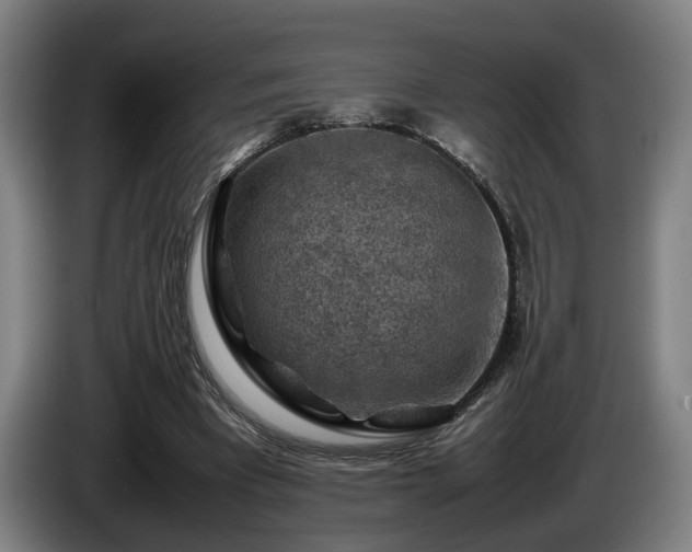 X0000086080393200703301133