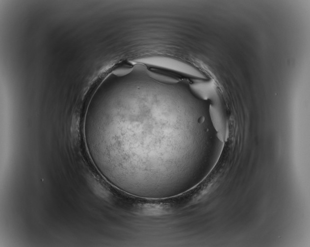 X0000086080394200703301133