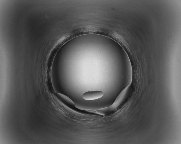 X0000086080395200703301133