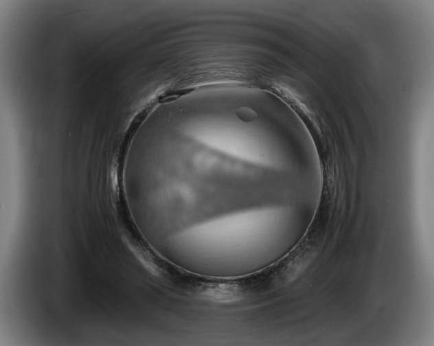 X0000086080398200703301133