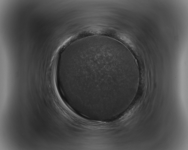 X0000086080399200703301133