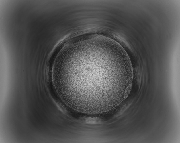 X0000086080400200703301133