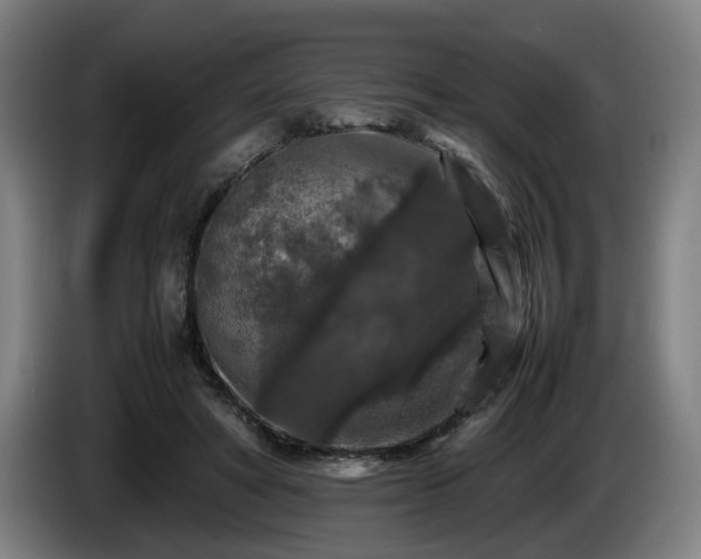 X0000086080402200703301133