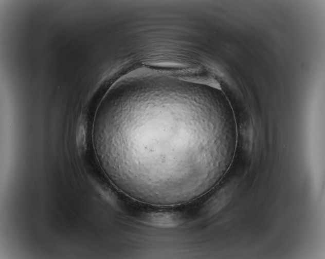 X0000086080404200703301133