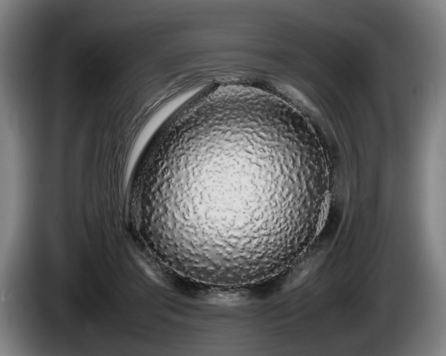 X0000086080405200703301133