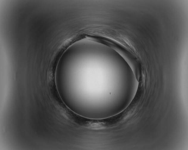 X0000086080407200703301133