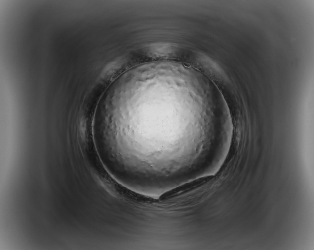 X0000086080408200703301133