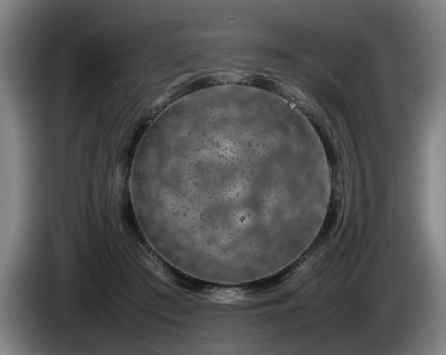 X0000086080409200703301133